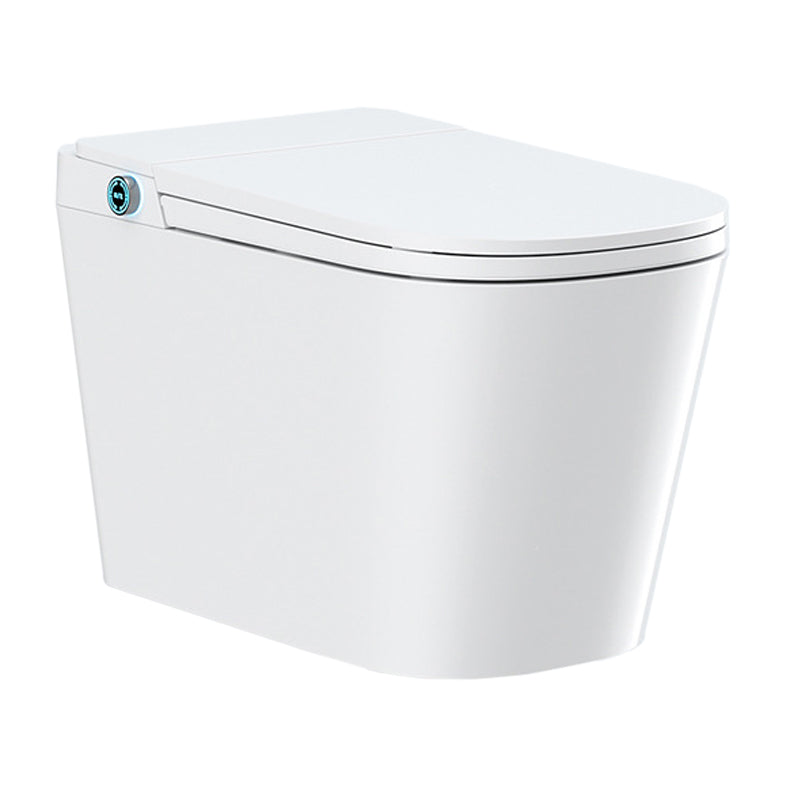 Modern Heated Seat Floor Mounted Urine Toilet Siphon Jet Toilet Bowl with Toilet Seat 12" Auto Flip Clearhalo 'Bathroom Remodel & Bathroom Fixtures' 'Home Improvement' 'home_improvement' 'home_improvement_toilets' 'Toilets & Bidets' 'Toilets' 6102947