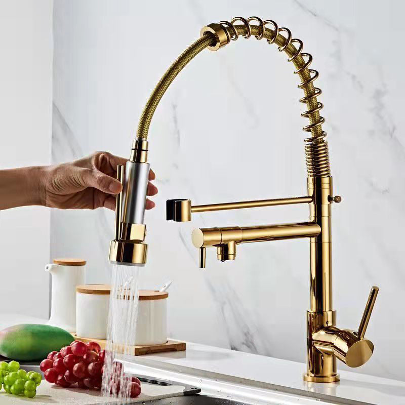 Modern Spring Spout Faucets Handle with Water Dispenser Standard Kitchen Faucets Gold Clearhalo 'Home Improvement' 'home_improvement' 'home_improvement_kitchen_faucets' 'Kitchen Faucets' 'Kitchen Remodel & Kitchen Fixtures' 'Kitchen Sinks & Faucet Components' 'kitchen_faucets' 6136866