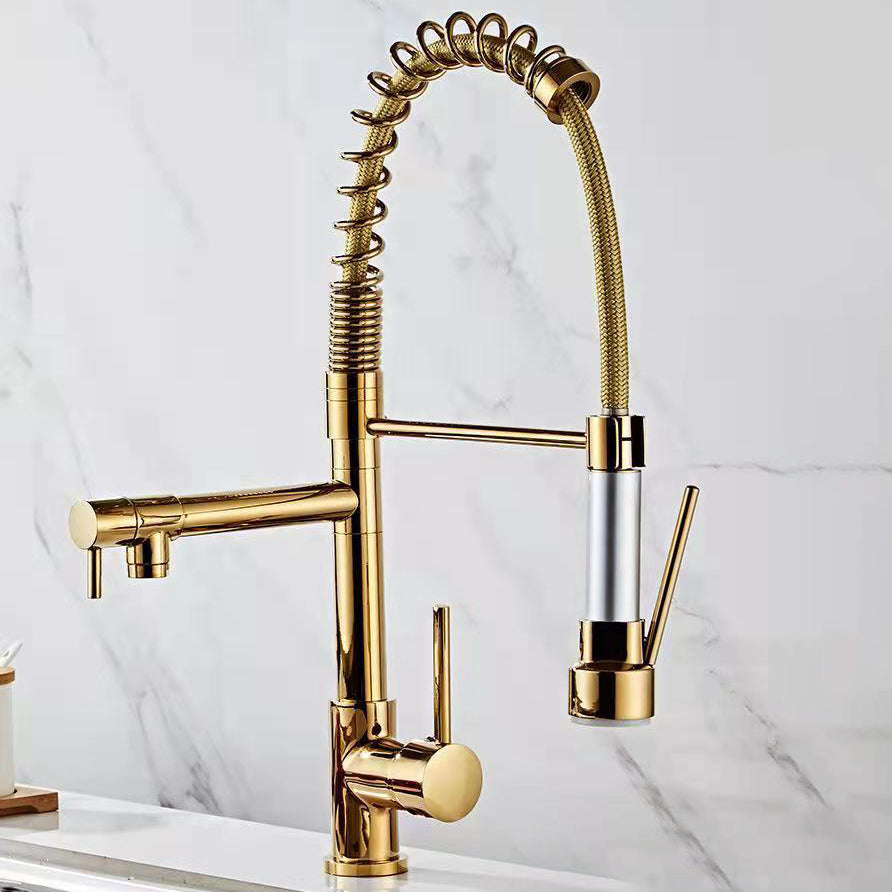 Modern Spring Spout Faucets Handle with Water Dispenser Standard Kitchen Faucets Clearhalo 'Home Improvement' 'home_improvement' 'home_improvement_kitchen_faucets' 'Kitchen Faucets' 'Kitchen Remodel & Kitchen Fixtures' 'Kitchen Sinks & Faucet Components' 'kitchen_faucets' 6136869