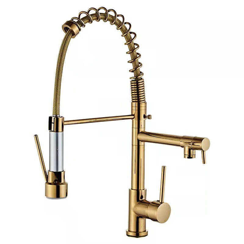 Modern Spring Spout Faucets Handle with Water Dispenser Standard Kitchen Faucets Clearhalo 'Home Improvement' 'home_improvement' 'home_improvement_kitchen_faucets' 'Kitchen Faucets' 'Kitchen Remodel & Kitchen Fixtures' 'Kitchen Sinks & Faucet Components' 'kitchen_faucets' 6136870