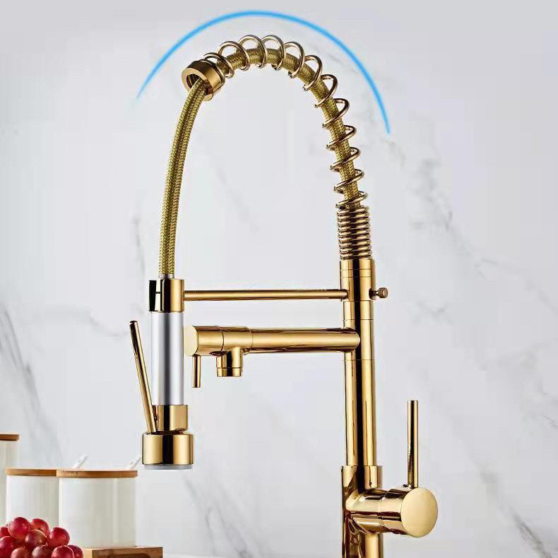 Modern Spring Spout Faucets Handle with Water Dispenser Standard Kitchen Faucets Clearhalo 'Home Improvement' 'home_improvement' 'home_improvement_kitchen_faucets' 'Kitchen Faucets' 'Kitchen Remodel & Kitchen Fixtures' 'Kitchen Sinks & Faucet Components' 'kitchen_faucets' 6136872