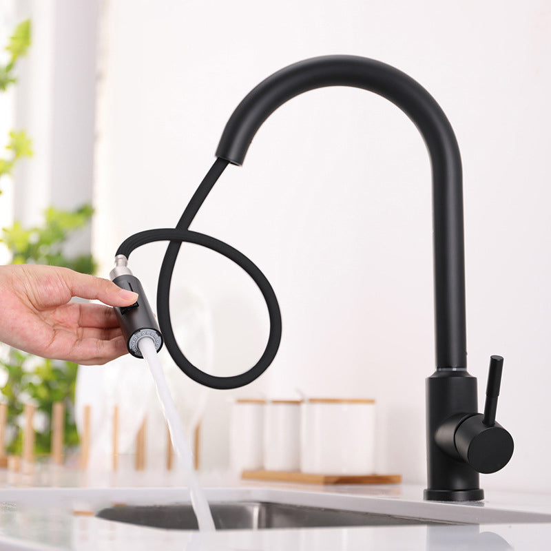 Modern 1-Handle Faucets Stainless Steel Gooseneck with Pull Out Sprayer Faucets Clearhalo 'Home Improvement' 'home_improvement' 'home_improvement_kitchen_faucets' 'Kitchen Faucets' 'Kitchen Remodel & Kitchen Fixtures' 'Kitchen Sinks & Faucet Components' 'kitchen_faucets' 6136937