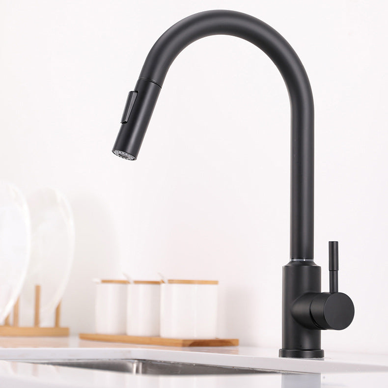 Modern 1-Handle Faucets Stainless Steel Gooseneck with Pull Out Sprayer Faucets Black Clearhalo 'Home Improvement' 'home_improvement' 'home_improvement_kitchen_faucets' 'Kitchen Faucets' 'Kitchen Remodel & Kitchen Fixtures' 'Kitchen Sinks & Faucet Components' 'kitchen_faucets' 6136939