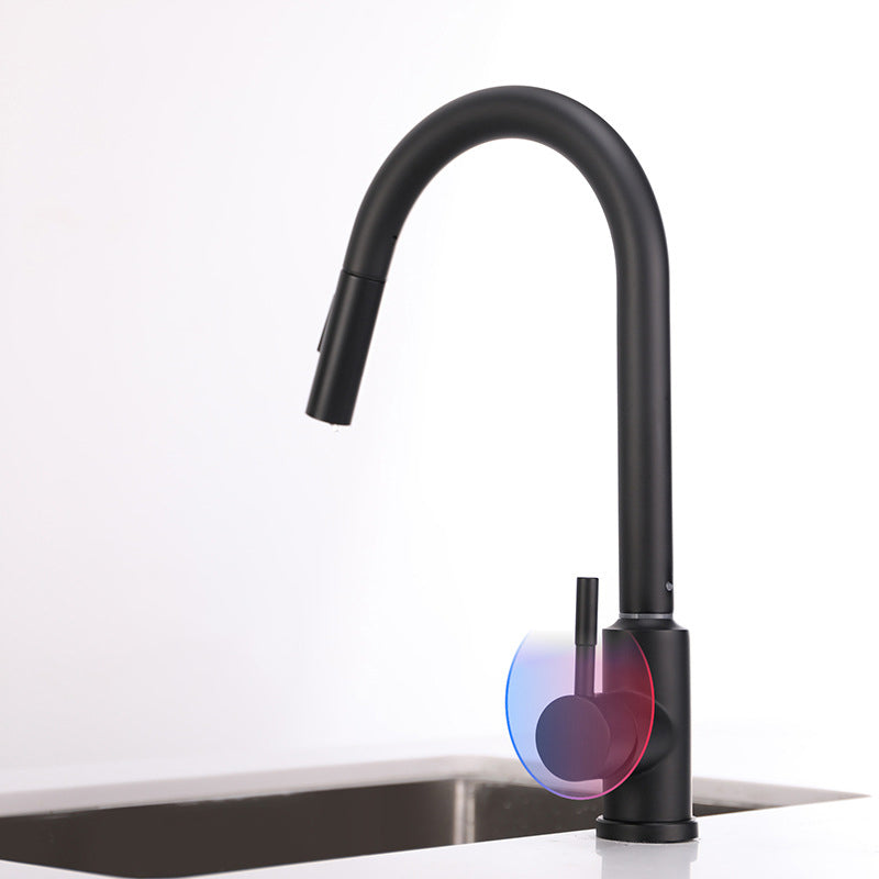 Modern 1-Handle Faucets Stainless Steel Gooseneck with Pull Out Sprayer Faucets Clearhalo 'Home Improvement' 'home_improvement' 'home_improvement_kitchen_faucets' 'Kitchen Faucets' 'Kitchen Remodel & Kitchen Fixtures' 'Kitchen Sinks & Faucet Components' 'kitchen_faucets' 6136941