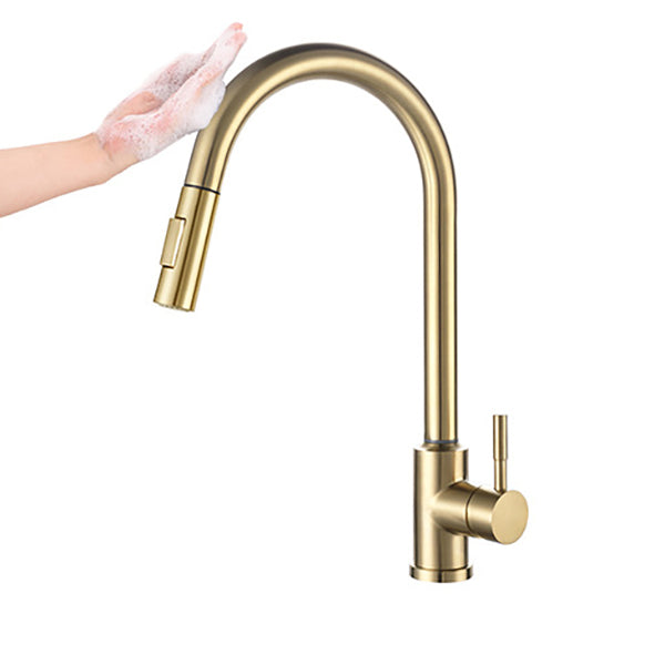 Modern 1-Handle Faucets Stainless Steel Gooseneck with Pull Out Sprayer Faucets Clearhalo 'Home Improvement' 'home_improvement' 'home_improvement_kitchen_faucets' 'Kitchen Faucets' 'Kitchen Remodel & Kitchen Fixtures' 'Kitchen Sinks & Faucet Components' 'kitchen_faucets' 6136946