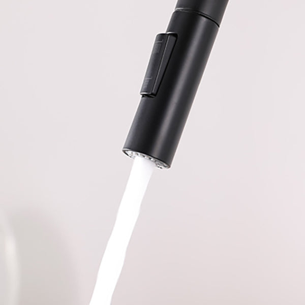 Modern 1-Handle Faucets Stainless Steel Gooseneck with Pull Out Sprayer Faucets Clearhalo 'Home Improvement' 'home_improvement' 'home_improvement_kitchen_faucets' 'Kitchen Faucets' 'Kitchen Remodel & Kitchen Fixtures' 'Kitchen Sinks & Faucet Components' 'kitchen_faucets' 6136948