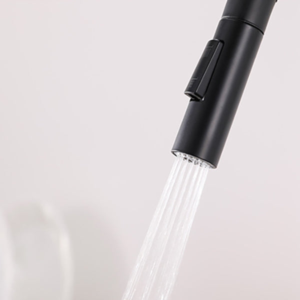 Modern 1-Handle Faucets Stainless Steel Gooseneck with Pull Out Sprayer Faucets Clearhalo 'Home Improvement' 'home_improvement' 'home_improvement_kitchen_faucets' 'Kitchen Faucets' 'Kitchen Remodel & Kitchen Fixtures' 'Kitchen Sinks & Faucet Components' 'kitchen_faucets' 6136949