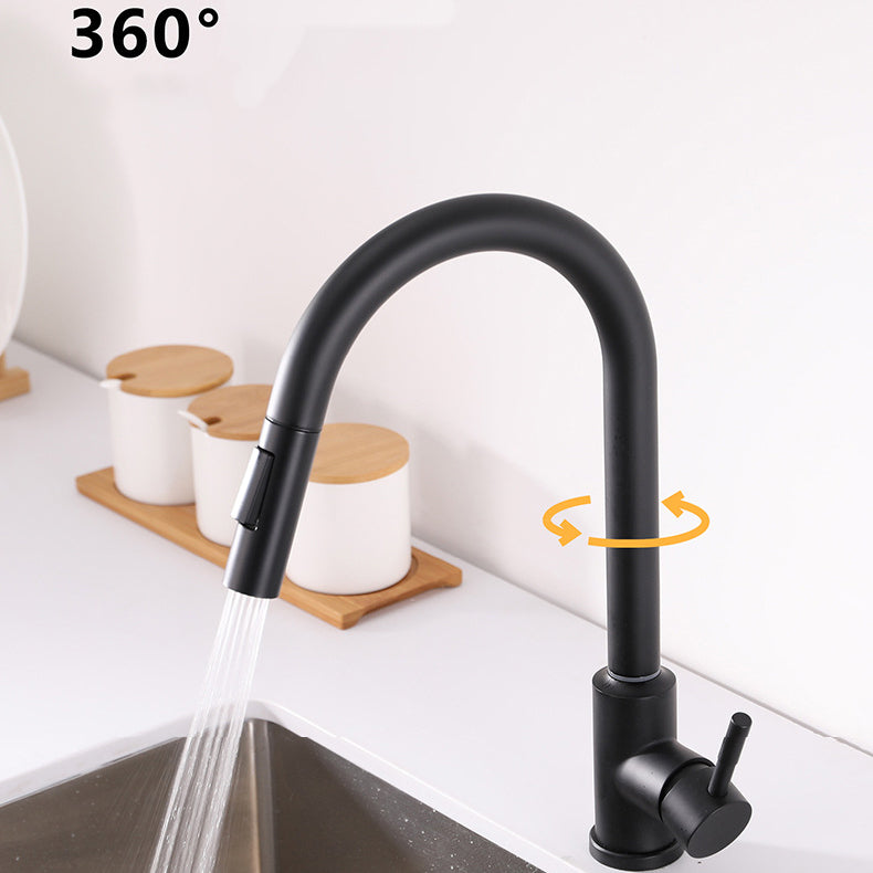 Modern 1-Handle Faucets Stainless Steel Gooseneck with Pull Out Sprayer Faucets Clearhalo 'Home Improvement' 'home_improvement' 'home_improvement_kitchen_faucets' 'Kitchen Faucets' 'Kitchen Remodel & Kitchen Fixtures' 'Kitchen Sinks & Faucet Components' 'kitchen_faucets' 6136951