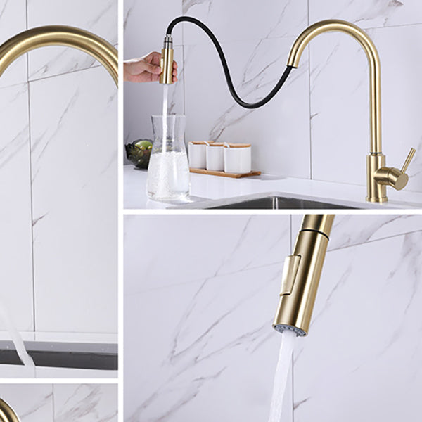 Modern 1-Handle Faucets Stainless Steel Gooseneck with Pull Out Sprayer Faucets Clearhalo 'Home Improvement' 'home_improvement' 'home_improvement_kitchen_faucets' 'Kitchen Faucets' 'Kitchen Remodel & Kitchen Fixtures' 'Kitchen Sinks & Faucet Components' 'kitchen_faucets' 6136954