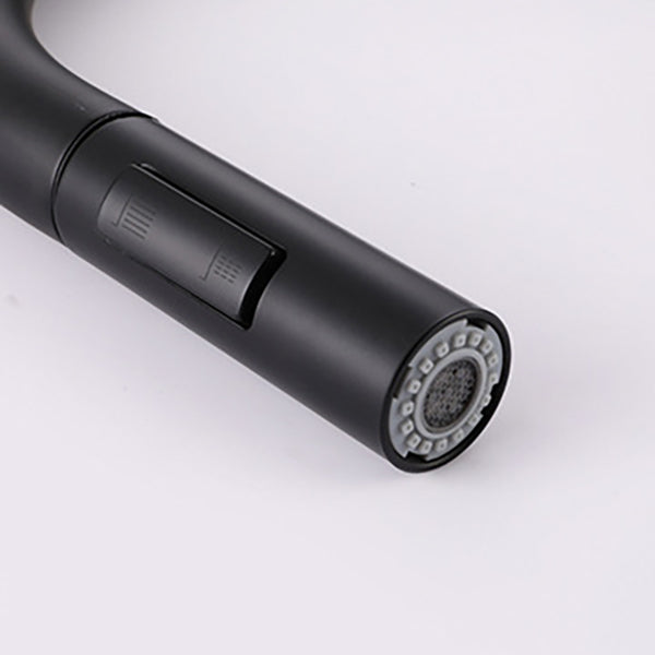 Modern 1-Handle Faucets Stainless Steel Gooseneck with Pull Out Sprayer Faucets Clearhalo 'Home Improvement' 'home_improvement' 'home_improvement_kitchen_faucets' 'Kitchen Faucets' 'Kitchen Remodel & Kitchen Fixtures' 'Kitchen Sinks & Faucet Components' 'kitchen_faucets' 6136955