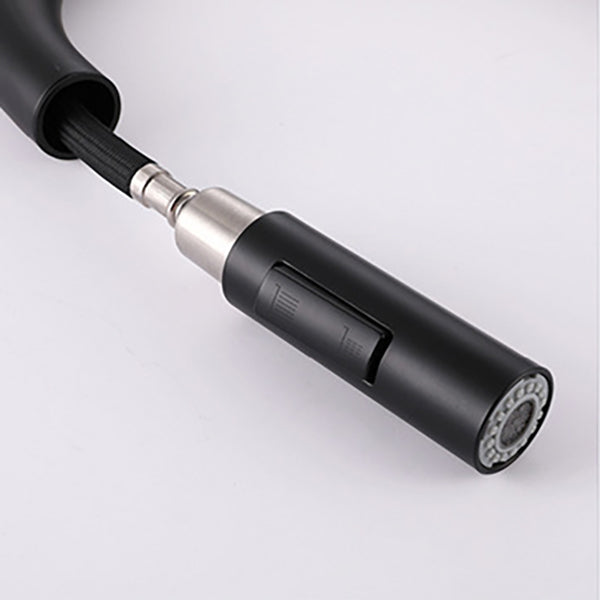 Modern 1-Handle Faucets Stainless Steel Gooseneck with Pull Out Sprayer Faucets Clearhalo 'Home Improvement' 'home_improvement' 'home_improvement_kitchen_faucets' 'Kitchen Faucets' 'Kitchen Remodel & Kitchen Fixtures' 'Kitchen Sinks & Faucet Components' 'kitchen_faucets' 6136956