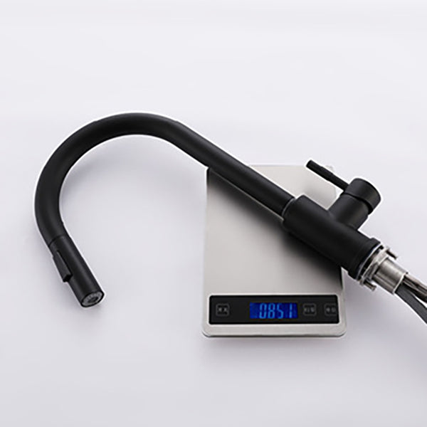 Modern 1-Handle Faucets Stainless Steel Gooseneck with Pull Out Sprayer Faucets Clearhalo 'Home Improvement' 'home_improvement' 'home_improvement_kitchen_faucets' 'Kitchen Faucets' 'Kitchen Remodel & Kitchen Fixtures' 'Kitchen Sinks & Faucet Components' 'kitchen_faucets' 6136959