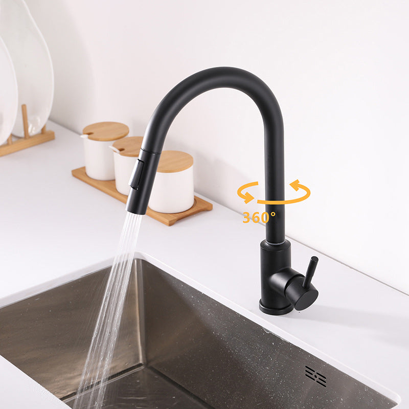 Modern 1-Handle Faucets Stainless Steel Gooseneck with Pull Out Sprayer Faucets Clearhalo 'Home Improvement' 'home_improvement' 'home_improvement_kitchen_faucets' 'Kitchen Faucets' 'Kitchen Remodel & Kitchen Fixtures' 'Kitchen Sinks & Faucet Components' 'kitchen_faucets' 6136961