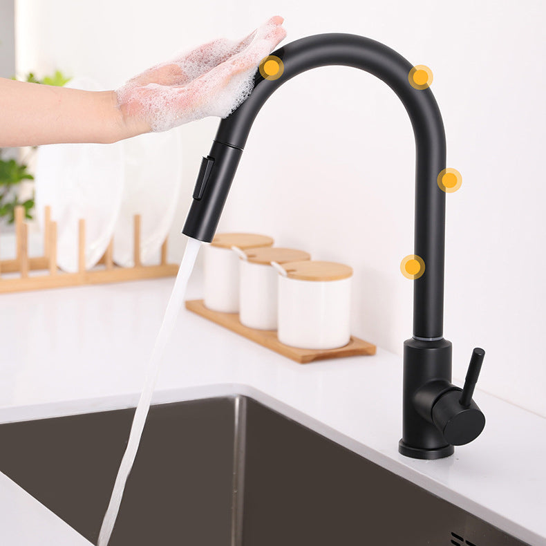 Modern 1-Handle Faucets Stainless Steel Gooseneck with Pull Out Sprayer Faucets Clearhalo 'Home Improvement' 'home_improvement' 'home_improvement_kitchen_faucets' 'Kitchen Faucets' 'Kitchen Remodel & Kitchen Fixtures' 'Kitchen Sinks & Faucet Components' 'kitchen_faucets' 6136962