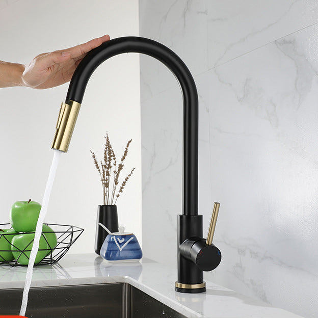 Modern Style Kitchen Faucet Stainless Steel 1-Handle Gooseneck Kitchen Faucet Black Gold Touch Clearhalo 'Home Improvement' 'home_improvement' 'home_improvement_kitchen_faucets' 'Kitchen Faucets' 'Kitchen Remodel & Kitchen Fixtures' 'Kitchen Sinks & Faucet Components' 'kitchen_faucets' 6136966