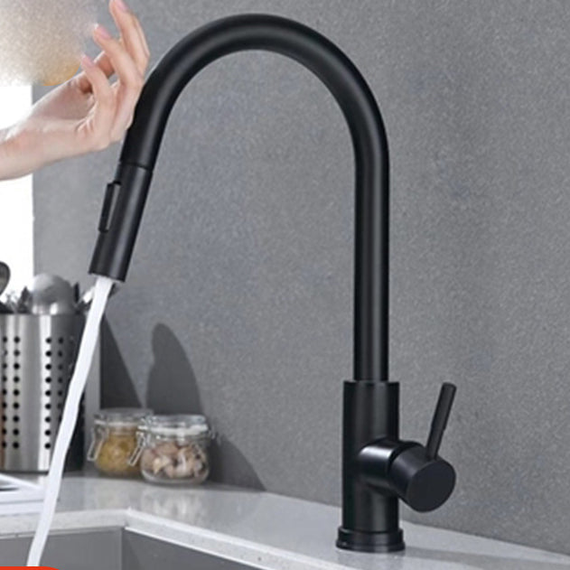 Modern Style Kitchen Faucet Stainless Steel 1-Handle Gooseneck Kitchen Faucet Black Clearhalo 'Home Improvement' 'home_improvement' 'home_improvement_kitchen_faucets' 'Kitchen Faucets' 'Kitchen Remodel & Kitchen Fixtures' 'Kitchen Sinks & Faucet Components' 'kitchen_faucets' 6136968