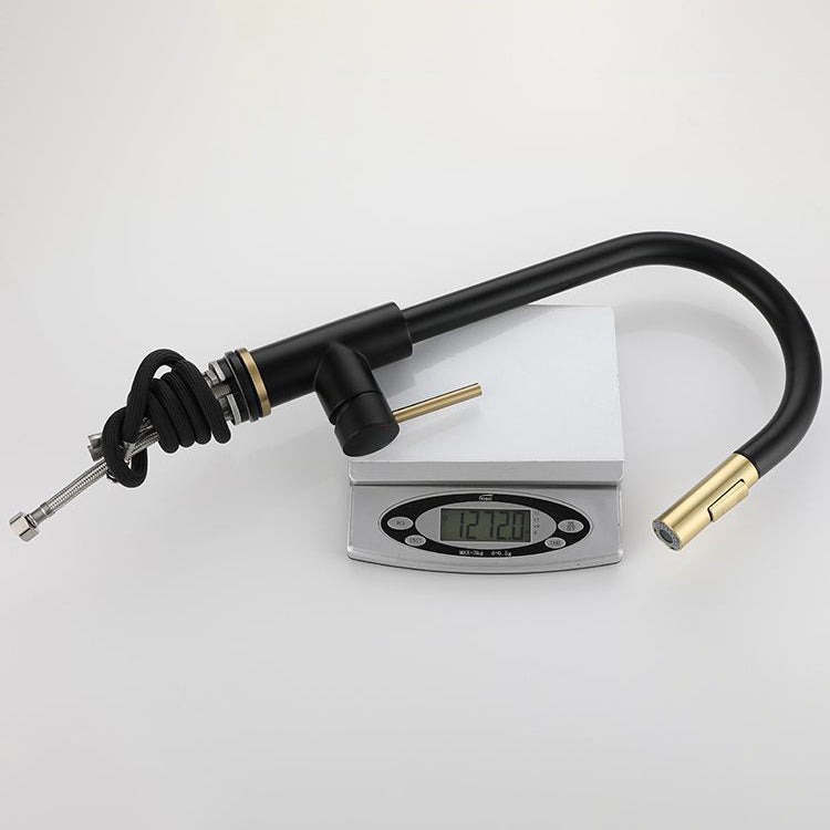 Modern Style Kitchen Faucet Stainless Steel 1-Handle Gooseneck Kitchen Faucet Clearhalo 'Home Improvement' 'home_improvement' 'home_improvement_kitchen_faucets' 'Kitchen Faucets' 'Kitchen Remodel & Kitchen Fixtures' 'Kitchen Sinks & Faucet Components' 'kitchen_faucets' 6136973