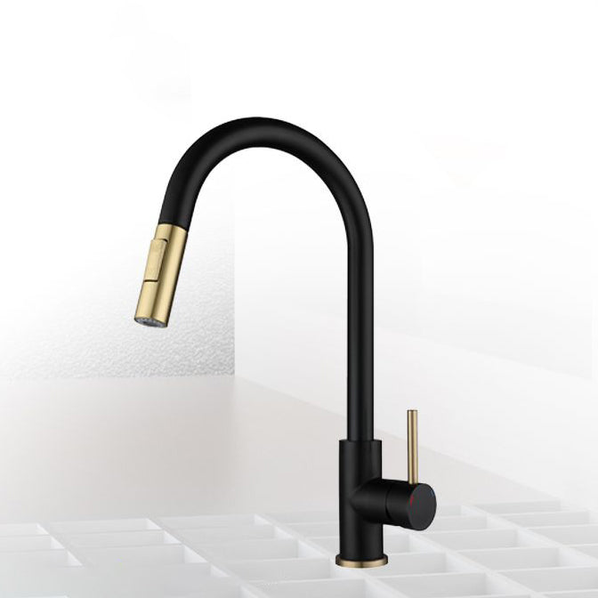 Modern Style Kitchen Faucet Stainless Steel 1-Handle Gooseneck Kitchen Faucet Clearhalo 'Home Improvement' 'home_improvement' 'home_improvement_kitchen_faucets' 'Kitchen Faucets' 'Kitchen Remodel & Kitchen Fixtures' 'Kitchen Sinks & Faucet Components' 'kitchen_faucets' 6136979
