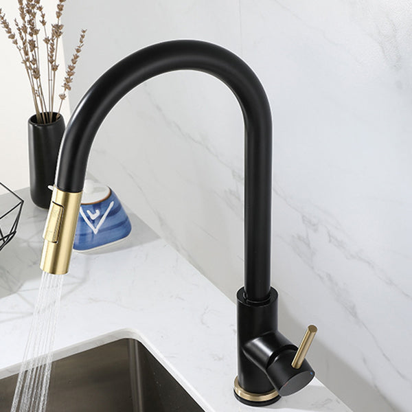 Modern Style Kitchen Faucet Stainless Steel 1-Handle Gooseneck Kitchen Faucet Clearhalo 'Home Improvement' 'home_improvement' 'home_improvement_kitchen_faucets' 'Kitchen Faucets' 'Kitchen Remodel & Kitchen Fixtures' 'Kitchen Sinks & Faucet Components' 'kitchen_faucets' 6136981