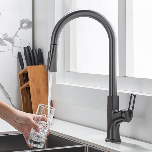 Modern Kitchen Faucet Brass Pulldown Sprayer Swivel Spout Kitchen Sink Faucet Clearhalo 'Home Improvement' 'home_improvement' 'home_improvement_kitchen_faucets' 'Kitchen Faucets' 'Kitchen Remodel & Kitchen Fixtures' 'Kitchen Sinks & Faucet Components' 'kitchen_faucets' 6136983