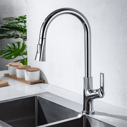 Modern Kitchen Faucet Brass Pulldown Sprayer Swivel Spout Kitchen Sink Faucet Silver Gray Clearhalo 'Home Improvement' 'home_improvement' 'home_improvement_kitchen_faucets' 'Kitchen Faucets' 'Kitchen Remodel & Kitchen Fixtures' 'Kitchen Sinks & Faucet Components' 'kitchen_faucets' 6136986