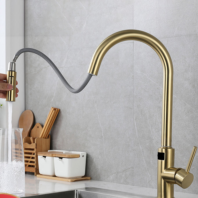 Modern Style Kitchen Faucet Stainless Steel Single Handle Retractable Kitchen Faucet Clearhalo 'Home Improvement' 'home_improvement' 'home_improvement_kitchen_faucets' 'Kitchen Faucets' 'Kitchen Remodel & Kitchen Fixtures' 'Kitchen Sinks & Faucet Components' 'kitchen_faucets' 6150129