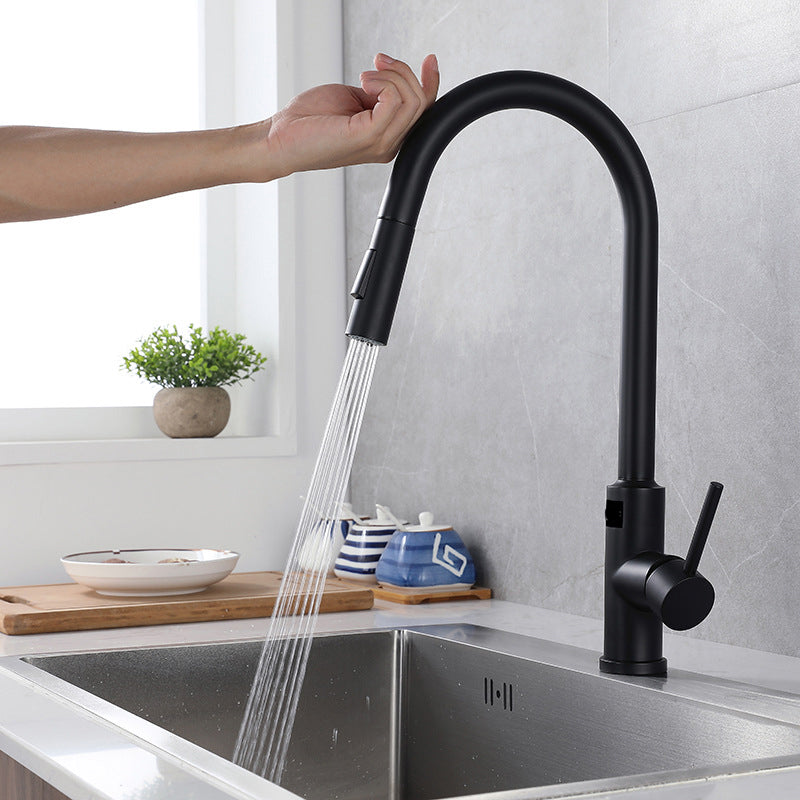 Modern Style Kitchen Faucet Stainless Steel Single Handle Retractable Kitchen Faucet Black Clearhalo 'Home Improvement' 'home_improvement' 'home_improvement_kitchen_faucets' 'Kitchen Faucets' 'Kitchen Remodel & Kitchen Fixtures' 'Kitchen Sinks & Faucet Components' 'kitchen_faucets' 6150131