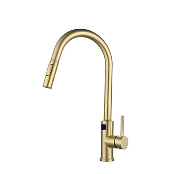 Modern Style Kitchen Faucet Stainless Steel Single Handle Retractable Kitchen Faucet Gold Clearhalo 'Home Improvement' 'home_improvement' 'home_improvement_kitchen_faucets' 'Kitchen Faucets' 'Kitchen Remodel & Kitchen Fixtures' 'Kitchen Sinks & Faucet Components' 'kitchen_faucets' 6150134