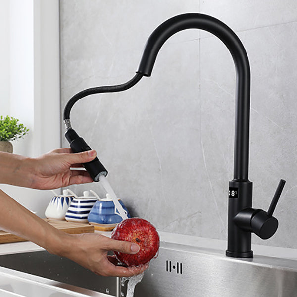 Modern Style Kitchen Faucet Stainless Steel Single Handle Retractable Kitchen Faucet Clearhalo 'Home Improvement' 'home_improvement' 'home_improvement_kitchen_faucets' 'Kitchen Faucets' 'Kitchen Remodel & Kitchen Fixtures' 'Kitchen Sinks & Faucet Components' 'kitchen_faucets' 6150145