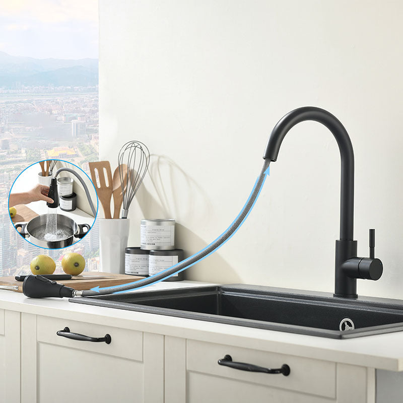 Modern Kitchen Faucet Stainless Steel Single Handle High Arc Retractable Kitchen Faucet Clearhalo 'Home Improvement' 'home_improvement' 'home_improvement_kitchen_faucets' 'Kitchen Faucets' 'Kitchen Remodel & Kitchen Fixtures' 'Kitchen Sinks & Faucet Components' 'kitchen_faucets' 6167027
