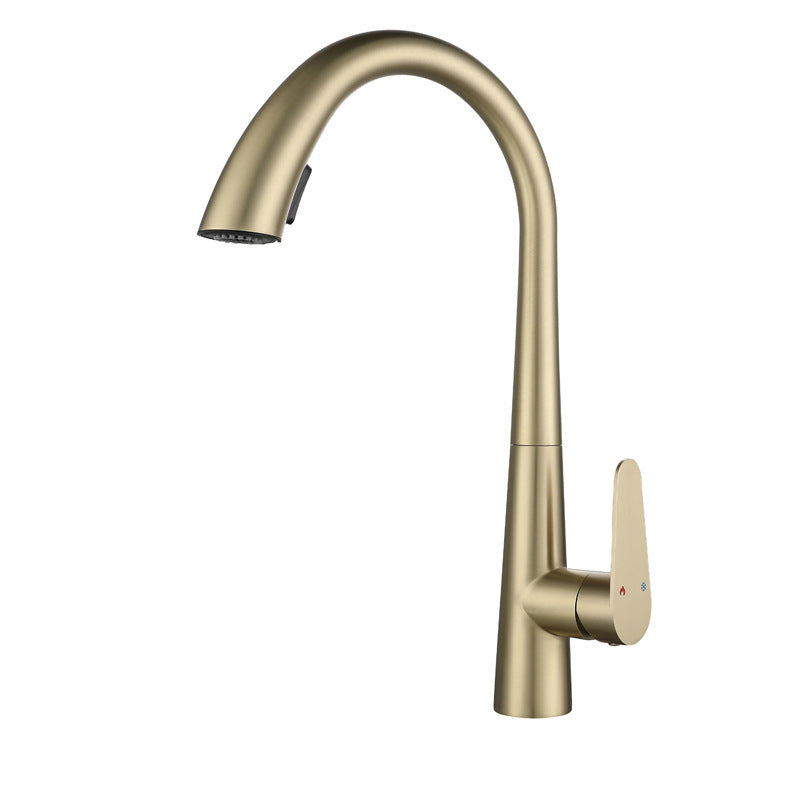 Modern Style Retractable Kitchen Faucet 304 Stainless Steel 1-Handle Kitchen Faucet Gold Clearhalo 'Home Improvement' 'home_improvement' 'home_improvement_kitchen_faucets' 'Kitchen Faucets' 'Kitchen Remodel & Kitchen Fixtures' 'Kitchen Sinks & Faucet Components' 'kitchen_faucets' 6167151