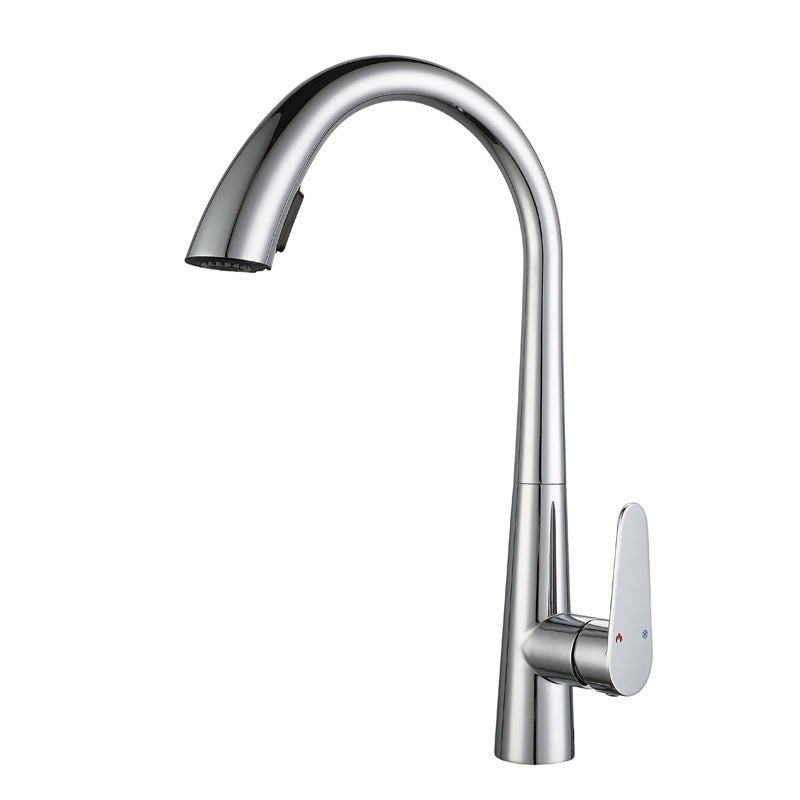 Modern Style Retractable Kitchen Faucet 304 Stainless Steel 1-Handle Kitchen Faucet Silver Clearhalo 'Home Improvement' 'home_improvement' 'home_improvement_kitchen_faucets' 'Kitchen Faucets' 'Kitchen Remodel & Kitchen Fixtures' 'Kitchen Sinks & Faucet Components' 'kitchen_faucets' 6167152
