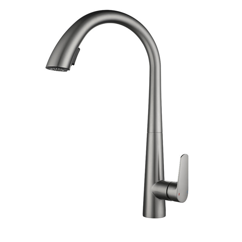Modern Style Retractable Kitchen Faucet 304 Stainless Steel 1-Handle Kitchen Faucet Silver Gray Clearhalo 'Home Improvement' 'home_improvement' 'home_improvement_kitchen_faucets' 'Kitchen Faucets' 'Kitchen Remodel & Kitchen Fixtures' 'Kitchen Sinks & Faucet Components' 'kitchen_faucets' 6167154