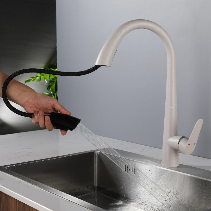 Modern Style Retractable Kitchen Faucet 304 Stainless Steel 1-Handle Kitchen Faucet Clearhalo 'Home Improvement' 'home_improvement' 'home_improvement_kitchen_faucets' 'Kitchen Faucets' 'Kitchen Remodel & Kitchen Fixtures' 'Kitchen Sinks & Faucet Components' 'kitchen_faucets' 6167155