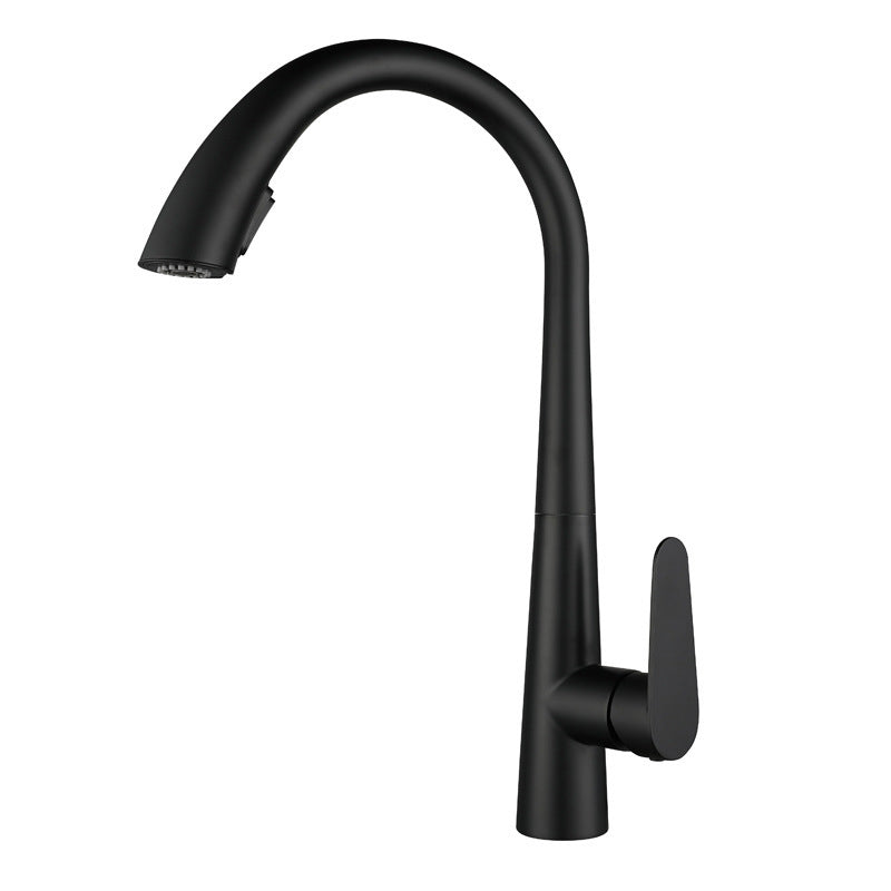Modern Style Retractable Kitchen Faucet 304 Stainless Steel 1-Handle Kitchen Faucet Black Clearhalo 'Home Improvement' 'home_improvement' 'home_improvement_kitchen_faucets' 'Kitchen Faucets' 'Kitchen Remodel & Kitchen Fixtures' 'Kitchen Sinks & Faucet Components' 'kitchen_faucets' 6167156