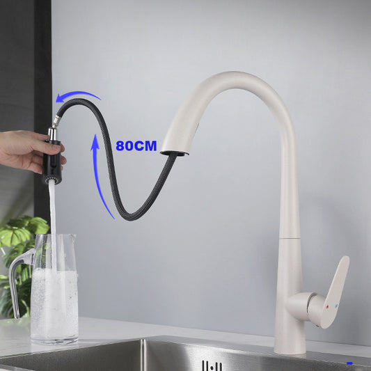 Modern Style Retractable Kitchen Faucet 304 Stainless Steel 1-Handle Kitchen Faucet Clearhalo 'Home Improvement' 'home_improvement' 'home_improvement_kitchen_faucets' 'Kitchen Faucets' 'Kitchen Remodel & Kitchen Fixtures' 'Kitchen Sinks & Faucet Components' 'kitchen_faucets' 6167170