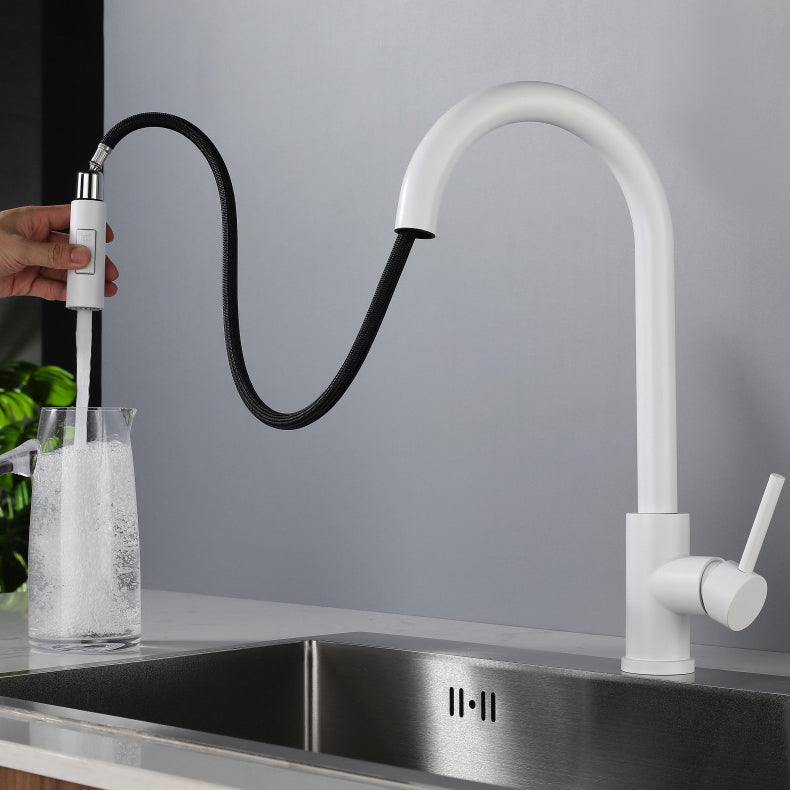 Modern Style Retractable Kitchen Faucet Stainless Steel 1-Handle Kitchen Faucet Clearhalo 'Home Improvement' 'home_improvement' 'home_improvement_kitchen_faucets' 'Kitchen Faucets' 'Kitchen Remodel & Kitchen Fixtures' 'Kitchen Sinks & Faucet Components' 'kitchen_faucets' 6167217