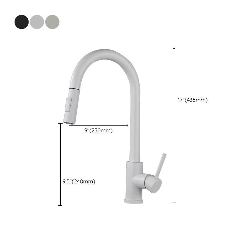 Modern Style Retractable Kitchen Faucet Stainless Steel 1-Handle Kitchen Faucet Clearhalo 'Home Improvement' 'home_improvement' 'home_improvement_kitchen_faucets' 'Kitchen Faucets' 'Kitchen Remodel & Kitchen Fixtures' 'Kitchen Sinks & Faucet Components' 'kitchen_faucets' 6167223