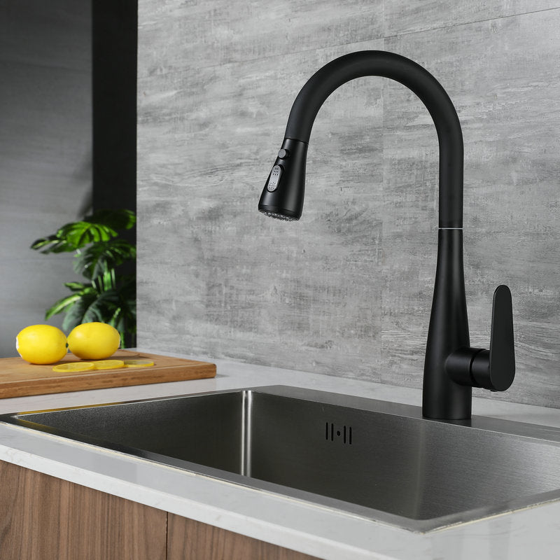 Modern Style Retractable Kitchen Faucet Stainless Steel Single Handle Kitchen Faucet Black Clearhalo 'Home Improvement' 'home_improvement' 'home_improvement_kitchen_faucets' 'Kitchen Faucets' 'Kitchen Remodel & Kitchen Fixtures' 'Kitchen Sinks & Faucet Components' 'kitchen_faucets' 6167267