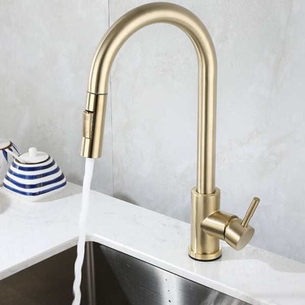 Modern Pull down Sprayer Water Filler One Handle High Arch Kitchen Faucet Gold Clearhalo 'Home Improvement' 'home_improvement' 'home_improvement_kitchen_faucets' 'Kitchen Faucets' 'Kitchen Remodel & Kitchen Fixtures' 'Kitchen Sinks & Faucet Components' 'kitchen_faucets' 6167303
