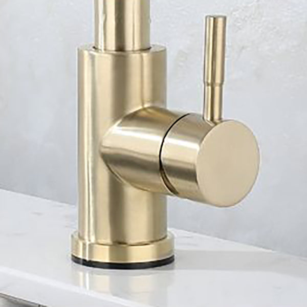 Modern Pull down Sprayer Water Filler One Handle High Arch Kitchen Faucet Clearhalo 'Home Improvement' 'home_improvement' 'home_improvement_kitchen_faucets' 'Kitchen Faucets' 'Kitchen Remodel & Kitchen Fixtures' 'Kitchen Sinks & Faucet Components' 'kitchen_faucets' 6167310