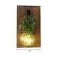 Flower/Plant Accent Wall String Light Rustic Clear Glass Shade Twinkle Light for Tea Shop Clearhalo 'Wall Lamps & Sconces' 'Wall Lights' Lighting' 616820