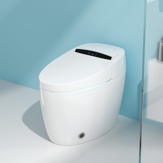 Porcelain Floor Mounted Toilet One-Piece Toilet Modern Toilet Bowl Clearhalo 'Bathroom Remodel & Bathroom Fixtures' 'Home Improvement' 'home_improvement' 'home_improvement_toilets' 'Toilets & Bidets' 'Toilets' 6177061