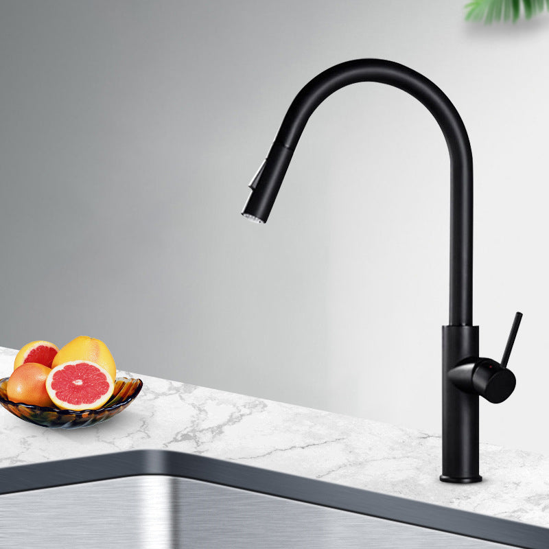 Modern Style Gooseneck Faucet Copper Single Handle Faucet for Kitchen Black Clearhalo 'Home Improvement' 'home_improvement' 'home_improvement_kitchen_faucets' 'Kitchen Faucets' 'Kitchen Remodel & Kitchen Fixtures' 'Kitchen Sinks & Faucet Components' 'kitchen_faucets' 6211679