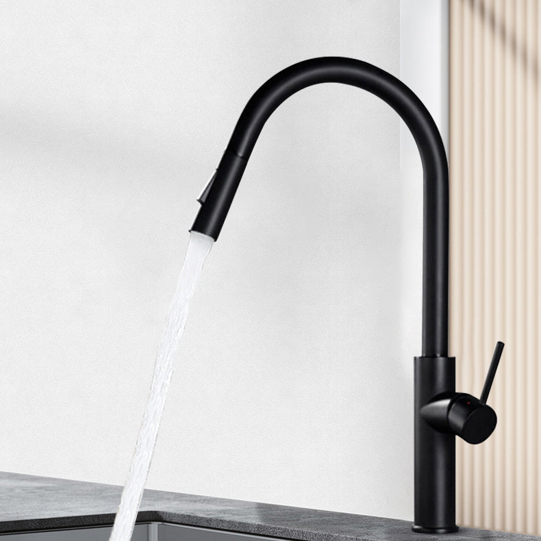 Modern Style Gooseneck Faucet Copper Single Handle Faucet for Kitchen Clearhalo 'Home Improvement' 'home_improvement' 'home_improvement_kitchen_faucets' 'Kitchen Faucets' 'Kitchen Remodel & Kitchen Fixtures' 'Kitchen Sinks & Faucet Components' 'kitchen_faucets' 6211695