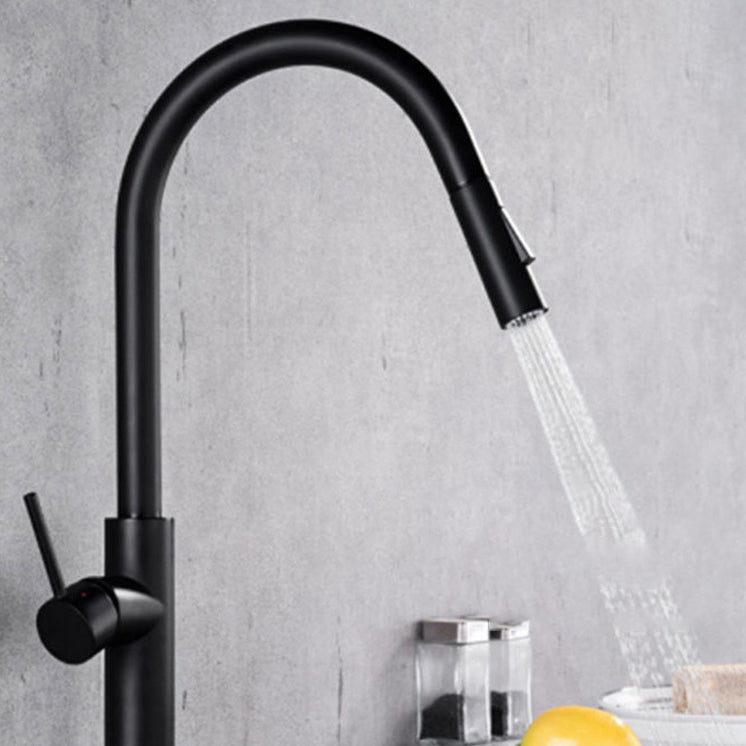 Modern Style Gooseneck Faucet Copper Single Handle Faucet for Kitchen Clearhalo 'Home Improvement' 'home_improvement' 'home_improvement_kitchen_faucets' 'Kitchen Faucets' 'Kitchen Remodel & Kitchen Fixtures' 'Kitchen Sinks & Faucet Components' 'kitchen_faucets' 6211696