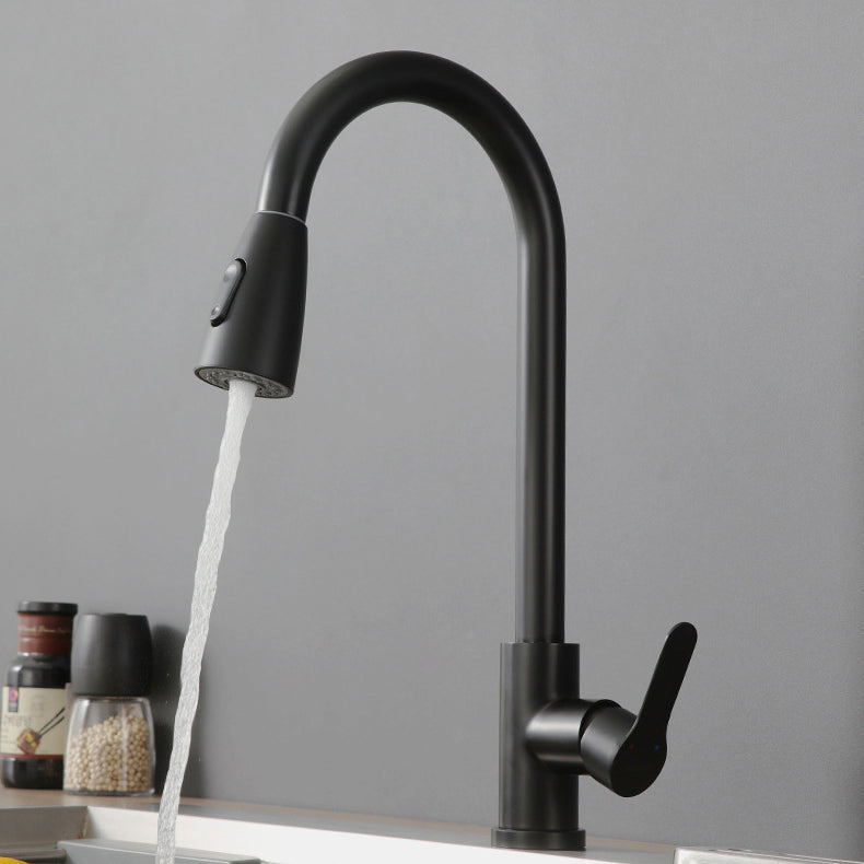 Modern Pot Filler Stainless Steel Pull Out Faucet Bar Prep Kitchen Faucet Clearhalo 'Home Improvement' 'home_improvement' 'home_improvement_kitchen_faucets' 'Kitchen Faucets' 'Kitchen Remodel & Kitchen Fixtures' 'Kitchen Sinks & Faucet Components' 'kitchen_faucets' 6211702