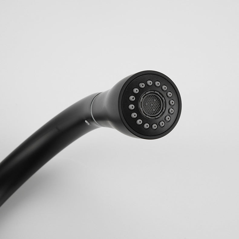 Modern Pot Filler Stainless Steel Pull Out Faucet Bar Prep Kitchen Faucet Clearhalo 'Home Improvement' 'home_improvement' 'home_improvement_kitchen_faucets' 'Kitchen Faucets' 'Kitchen Remodel & Kitchen Fixtures' 'Kitchen Sinks & Faucet Components' 'kitchen_faucets' 6211706