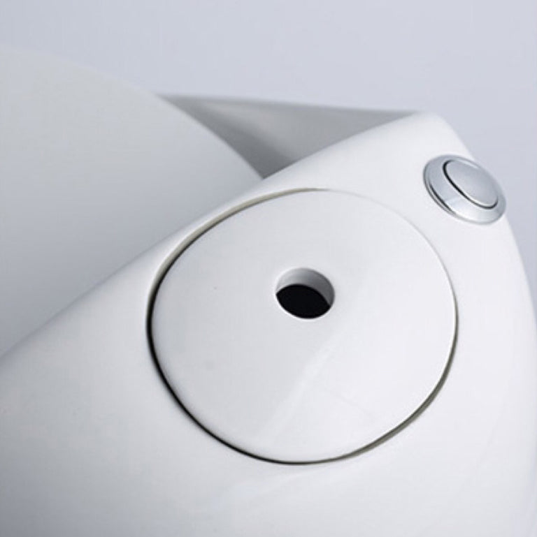 Modern UF Siphon Jet Toilet Bowl Floor Mount Flush Toilet with Toilet Seat Clearhalo 'Bathroom Remodel & Bathroom Fixtures' 'Home Improvement' 'home_improvement' 'home_improvement_toilets' 'Toilets & Bidets' 'Toilets' 6212632