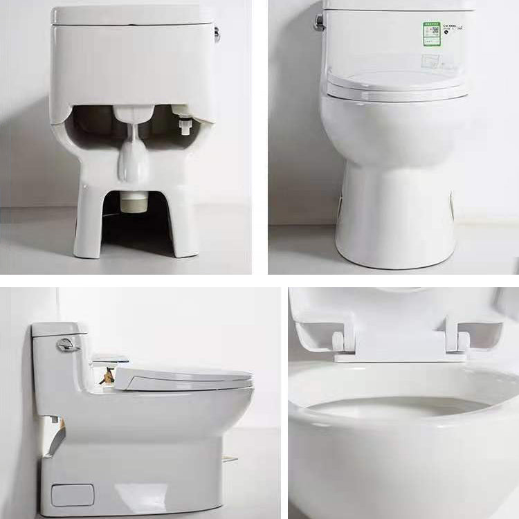 Modern Ceramic Siphon Jet Toilet Bowl Floor Mount Flush Toilet with Toilet Seat Clearhalo 'Bathroom Remodel & Bathroom Fixtures' 'Home Improvement' 'home_improvement' 'home_improvement_toilets' 'Toilets & Bidets' 'Toilets' 6214010